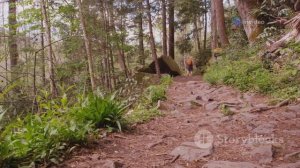 10 Удивительных фактов про горы Апалачи