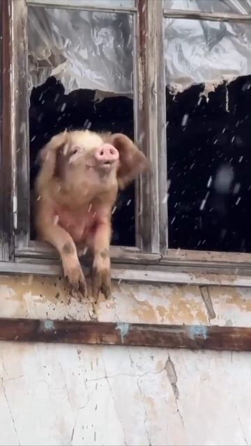 Свежо на улице 🤓