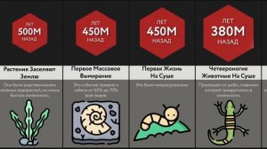 История Зарождения Жизни