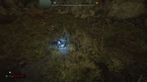 S.T.A.L.K.E.R.2  Дикий остров.  Рубец.  Тайник Пыльная заначка