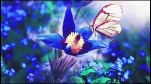 Нежная песня о весне "Я так люблю тебя прекрасная весн?