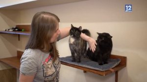 Лапа помощи 17.12.2021