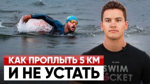 Как проплыть 5 км легко? | Тренировки стайеров | Школа плавания Swim Rocket