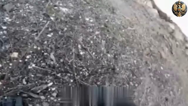 Миссия России (Ютуб удаляет) #стихиовере #ZаРоссию #ZнатьКаждому #победабудетзанами