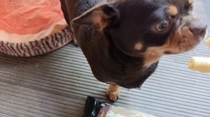 Раздаем подарки от Надежды.