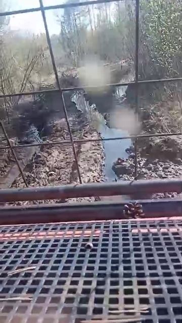 ОНИ НЕ ВЕРИЛИ что мы пройдем! Якутская тайга Vs вездеход BV206