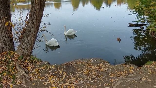 Николаев сегодня. Стало известно! Уничтожен важный об?