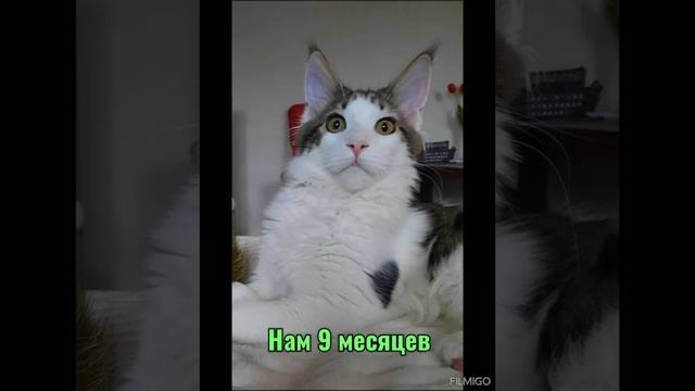 Привет, Малыш!