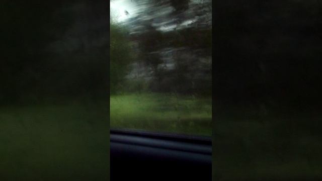 еду к бабушке в бывалово смотреть онлайн