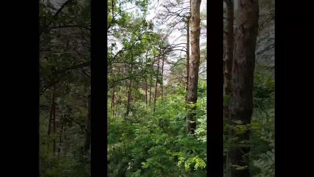 Путешествие гильдии рутуба - национальный парк города Кисловодска часть 1 #1