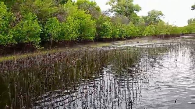 водные просторы на линхай 650 смотреть онлайн