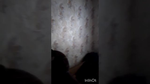 7096068 смотреть онлайн