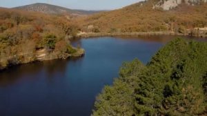 Вероника Сыромля Улетай