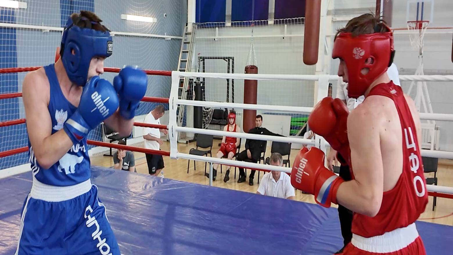 Областной турнир по боксу среди юношей и юниоров в Старом Осколе смотреть онлайн