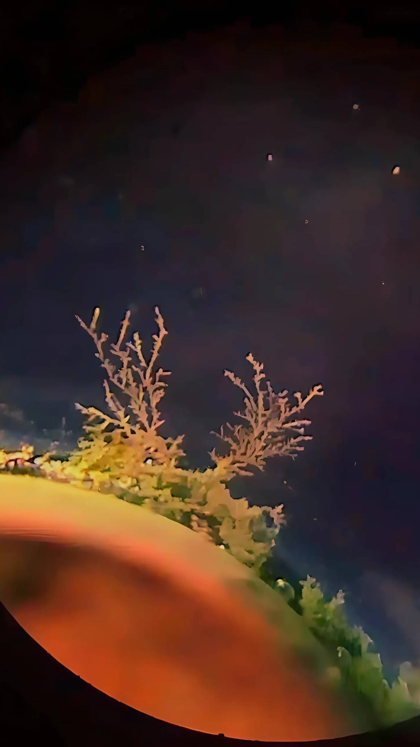 Рост дендритов серебра смотреть онлайн