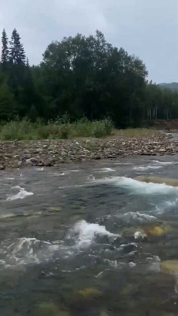 Nissan Pathfinder вброд через реку Бабха.  #automobile #offroad  #smartphone #pa