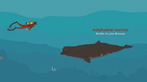 Парад доисторических китов