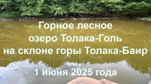 Горное лесное озеро Толака-Голь на склоне горы Толака-Баир (Крым, село Колхозное). 1 июня 2025 года.