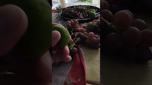 Ешьте утром виноград!