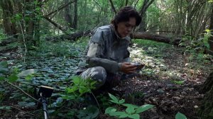 А примета работает! Что удалось найти на старом выбитом месте после дождя?