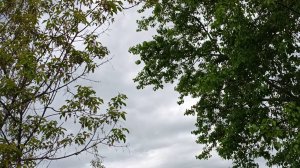 ЕСЛИ СЕРДЦЕ ОТ СЧАСТЬЯ ПОЁТ, ЭТО ЗНАЧИТ, - РОССИЯ ЖИВЁТ!!!