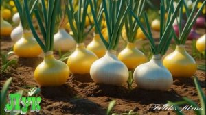 Детский обучающий мультик - ЧТО РАСТЕТ В ОГОРОДЕ ? (WHAT GR