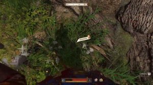 Kingdom Come Deliverance 2 Сокровища: Карта видлакских разбойнико