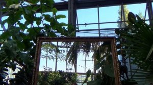 Оранжерея Таврического сада в Санкт-Петербурге, приятное место для небольшой прогулки и отдыха