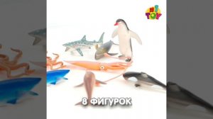 Т58805 Морские