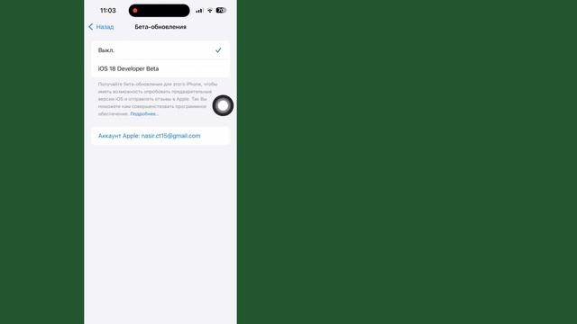 Как установить iOS 18.2 Developer Beta на iPhone смотреть онлайн