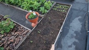 ПОРАЖАЕТ людская НАГЛОСТЬ😲УСТРОЮ им ТЕМНУЮ👍КТО меня ПОДДЕРЖИТ😏