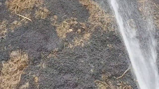 Выращивание червей на даче.