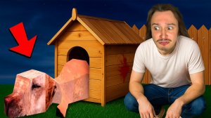 Я ДУМАЛ ЧТО ПРИЮТИЛ МИЛОГО ПЁСИКА НО... ОН ХОЧЕТ МЕНЯ СЪЕСТЬ.