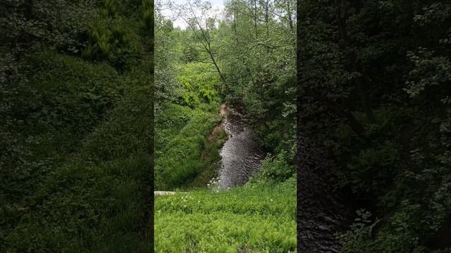 Мои бродилки по окрестностям.
Невская Дубровка.
Ленинградская область.
🎥vid Островский Сергей