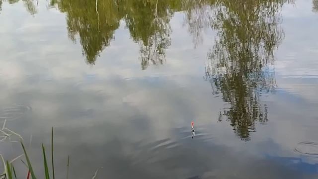 Рыбалка на карася поплавочной удочкой в мае смотреть онлайн