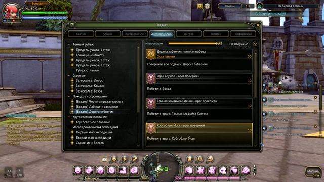 Dragon Nest RuOff My Achievement Collection Моя коллекция подвигов 1/2 80 Cap [ смотреть онлайн