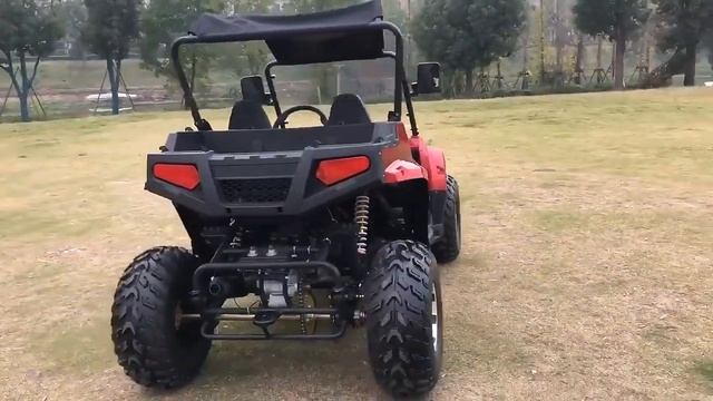 UTV 200cc багги