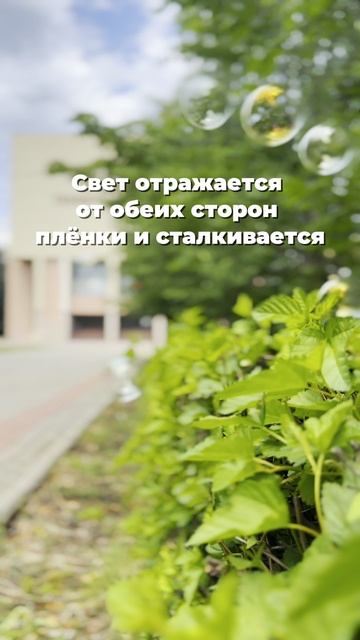 Почему мыльные пузыри переливаются цветами радуги? смотреть онлайн