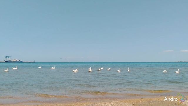 25.06.06 смотреть онлайн