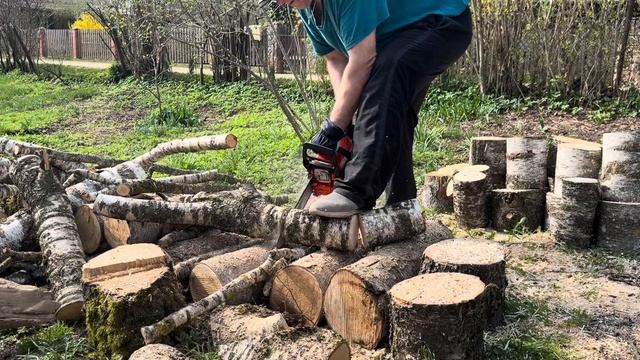 Echo CS-3510 (Япония) распил берёзы