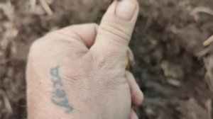 Эквинокс 600 -900 , собираем остатки, настройки