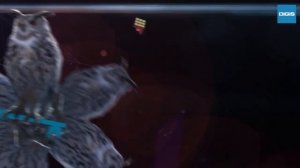 Заставка "что? где? когда?"