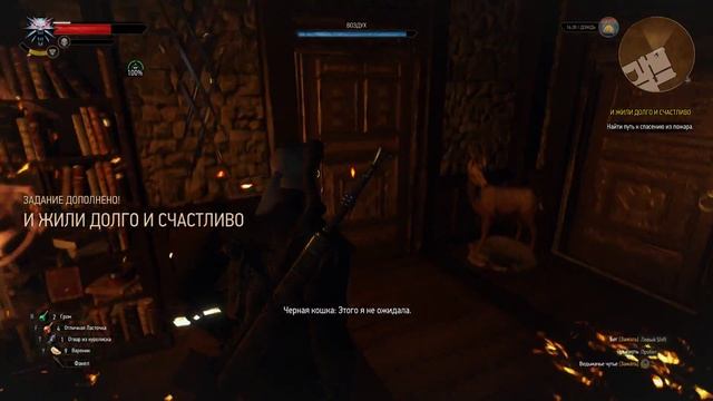 The Witcher 3 #78 - Кошмар Ирис смотреть онлайн