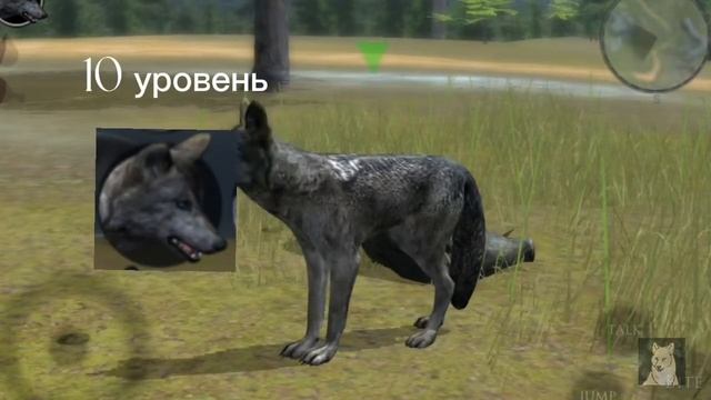 Обзор Ultimate wolf simulator 2!) смотреть онлайн