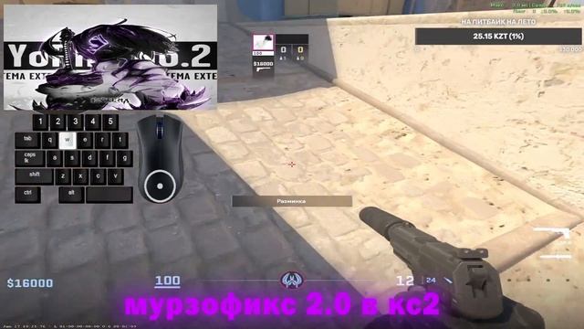 Мурзофикс 2.0 в кс 2 Murzikfix