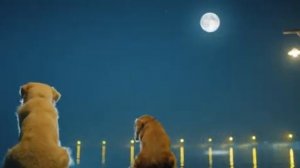 Индийский фильм "СОБАЧИЙ ПОБЕГ" (2023) | На Русском