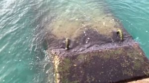 Кабардинка