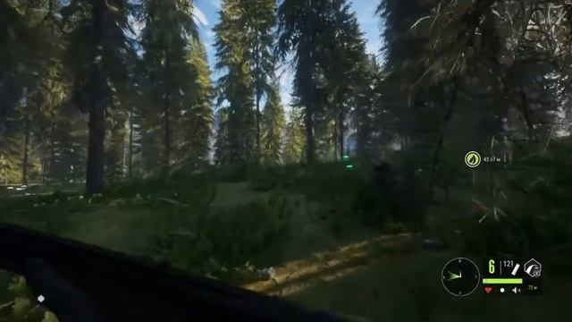 The Hunter Call of the Wild |Добудьте Индейку уровень Бриллиант|Се смотреть онлайн