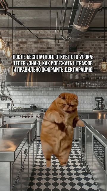 Регистрация на открытый урок по декларированию по ссылке👇🏻 смотреть онлайн