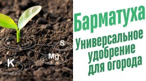 Универсальное удобрение для огорода.